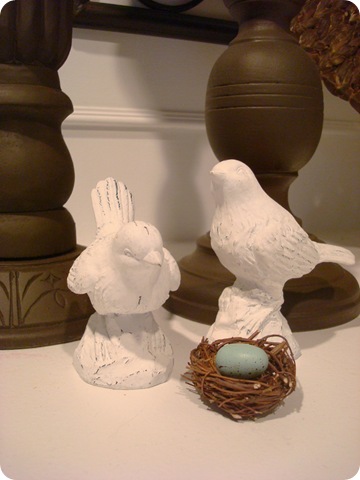 birds and nest