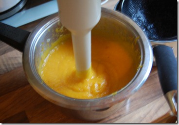 butternut soup 020