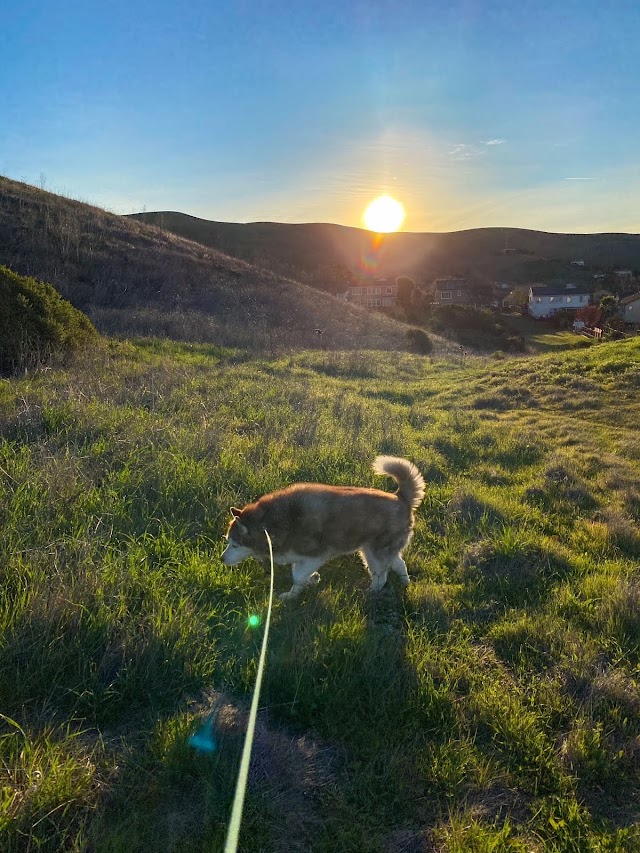 Sunday sunrise with Ciara