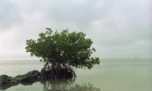 @ Key West