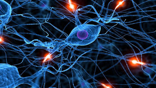  There is no doubtfulness that Machine Learning is a tough dependent acre as well as inwards Top 5 Courses to Learn Deep Learning as well as Neural Network inwards Depth - Best of Lot