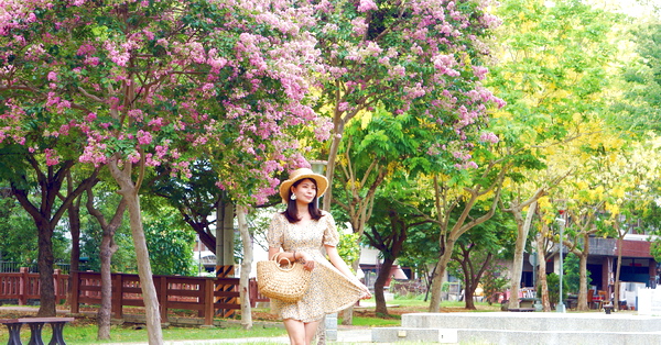 台中大雅大榮公園小花紫薇和阿勃勒黃金雨齊開爭艷，休閒好去處