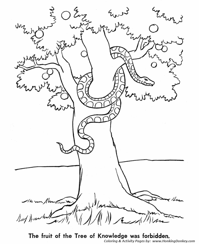 Garden Of Eden Coloring Page Tree Of