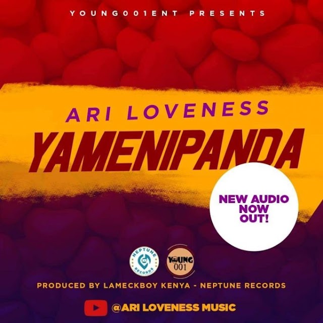 AUDIO | Ari Loveness – YAMENIPANDA | Download 