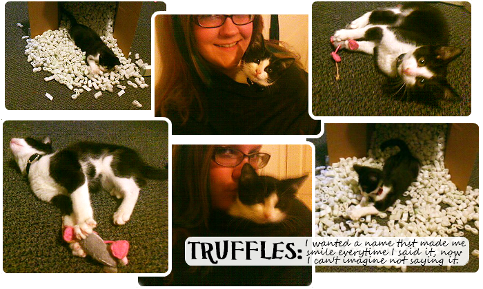 Tuxedo Kitten Truffles #GoodlifePet #Shop #Cbias