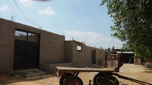 Farm for sale in Egypt, مزارع الاسماعيلية, مزارع للبيع فى الاسماعيلية, مزرعة للبيع بالاسماعيلية