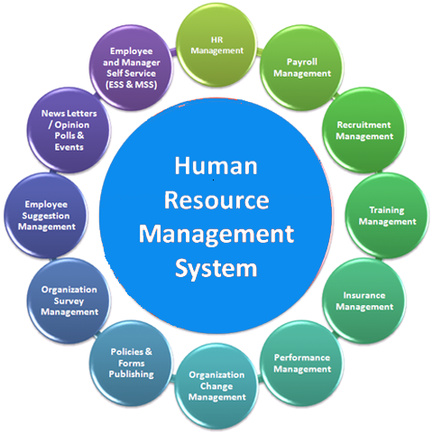 Human Resource Management System Software