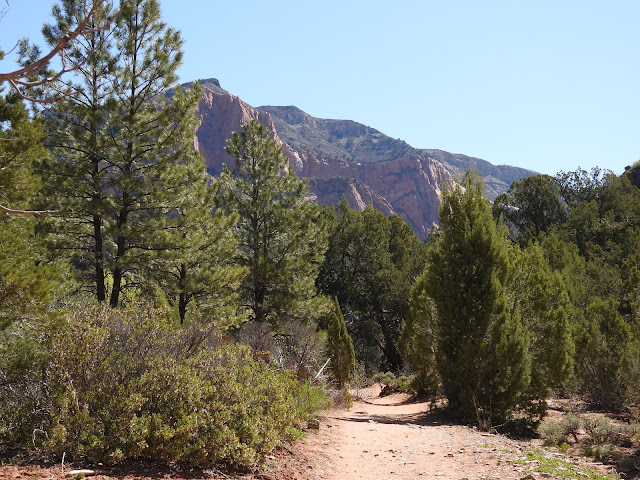 Zion National Park