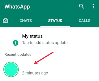 WhatsApp Status Kaise Dekhe