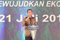 11 Kepala Daerah Terima Satya Lencana dari Presiden Joko Widodo