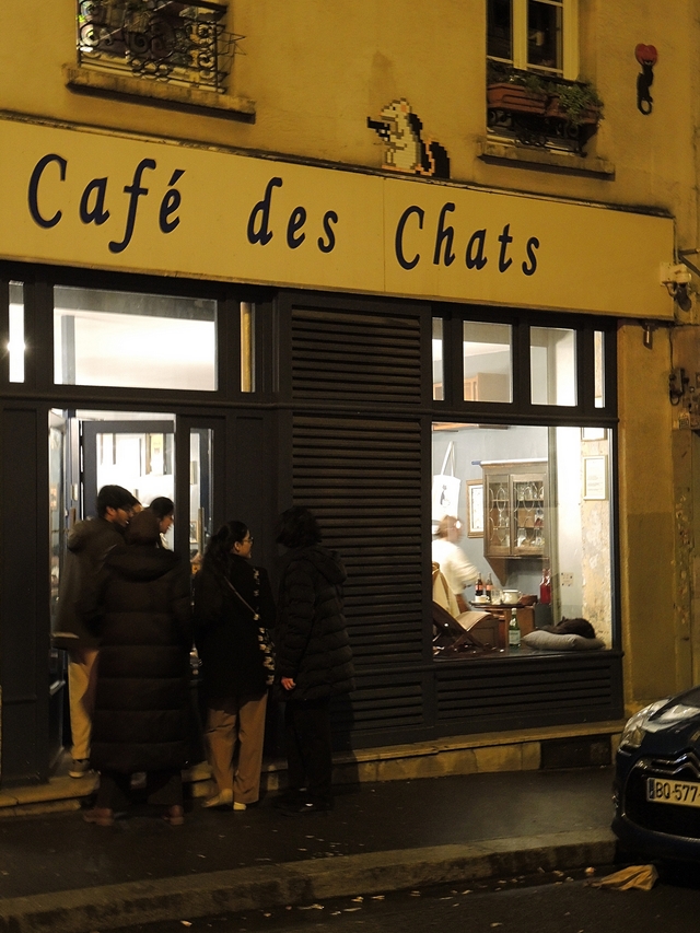 Parijs: pelsen vriendjes en een blind date in het kattencafé