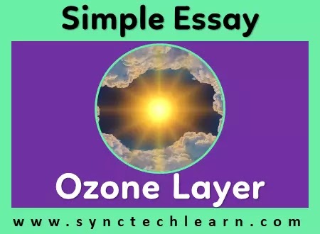 ozone depletion essay