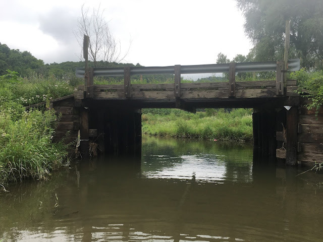 Bridge pool wild brook and brown trout driftless wisconsin iowa county