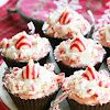 Dark Chocolate Peppermint No-Bake Mini Cheesecakes