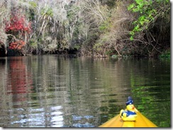 Hillsborough River SP Fl