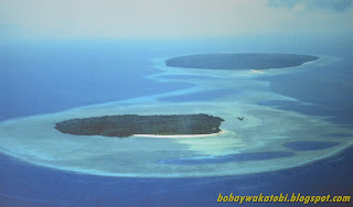 bohaywakatobi.blogspot.com