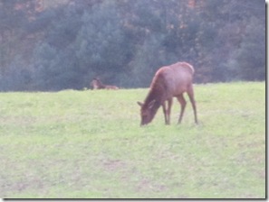 fall 2011 051