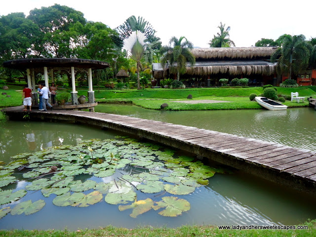 beautiful scenery at Rafael's Farm Leyte