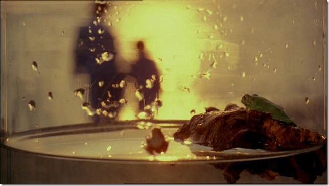 PDVD_002