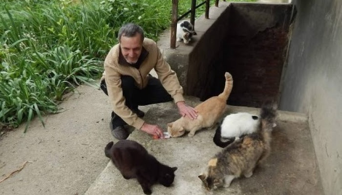 En honor a su esposa: Hombre alimenta a los animales abandonados entre los escombros por la guerra en Ucrania. 