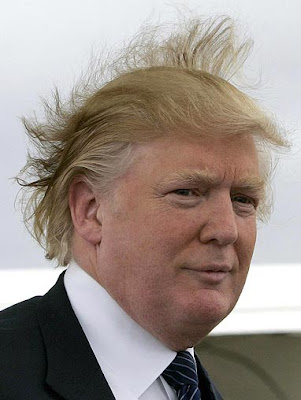 donald trump hair. Donald Trump#39;s Dome Collapses