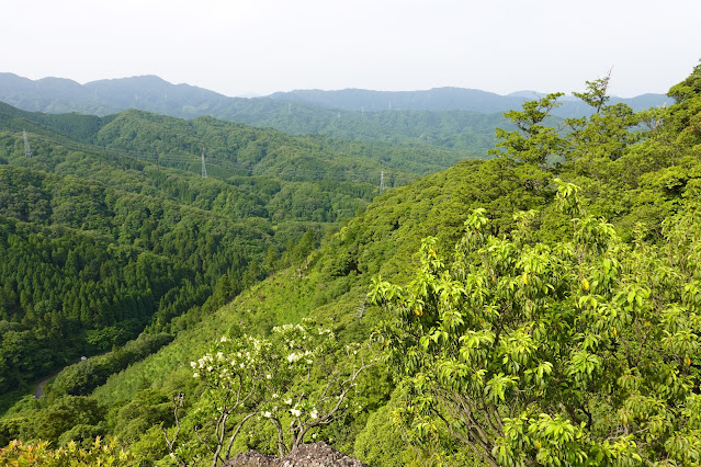 鳥取県西伯郡南部町八金 熊野神社 凝灰角礫岩テラスからの眺望