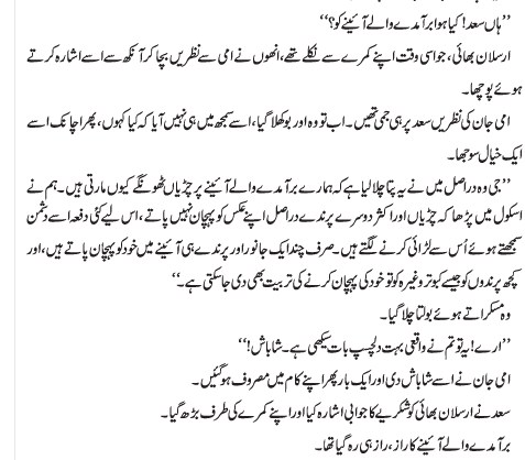 Aaena Baraamde Wala story in urdu
