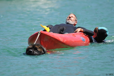 Maître-Chien sauveteur aquatique dans le Jura à Vouglans situé à la base nautique de Bellecin. Chien léonberg Ikke photographe JD Amet le Travail se fait en binôme maître-chien