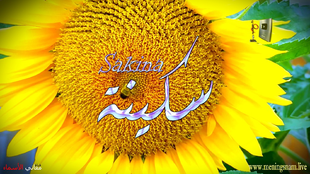 معنى اسم, سكينة, وصفات, حاملة, هذا الاسم, Sakina,