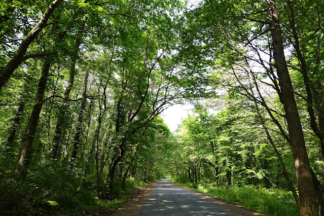 鳥取県西伯郡大山町大山　連絡路