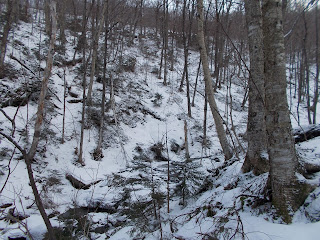 Mont Sutton, sentier Chute du Pékan l'hiver