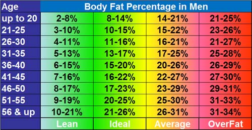 body fat percentage calipers calculator