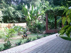 Image033