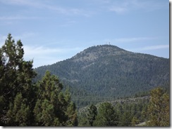 DSCF3079