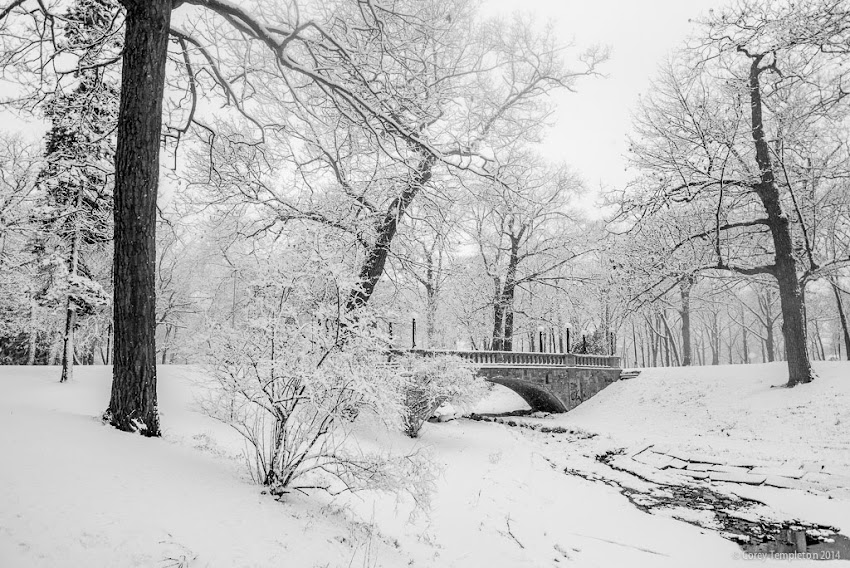 Portland, Maine Winter Deering Oaks Park Bridge in Snow photo by Corey Templeton