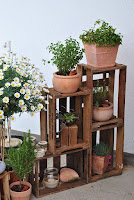 Decoración con plantas en cajones de madera reciclados