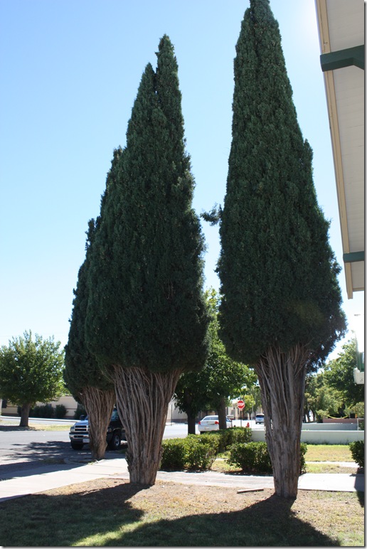 20101027_342