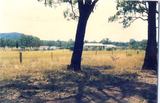 This photo was taken by my younger brother, Ross, in 1986 when it was looking relativelly prosperous. We sold it to Ron Noakes and moved into Denman itself at the end of 1962.