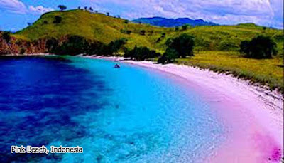 Pink Beach, Indonesia 