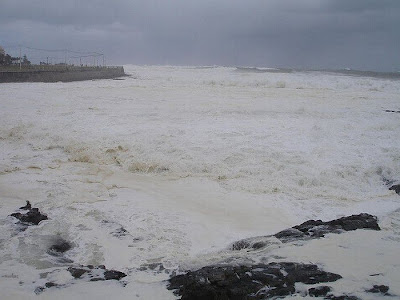 fenomena cappuccino coast