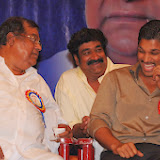Allu Ramalingaiah Award Function Photos (5)