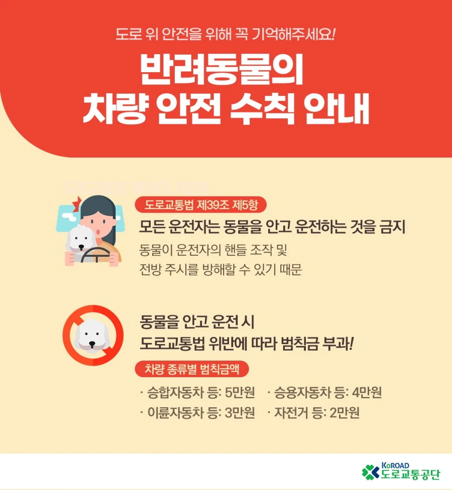 ▲ 반려동물의 차량 안전 수칙 안내 포스터