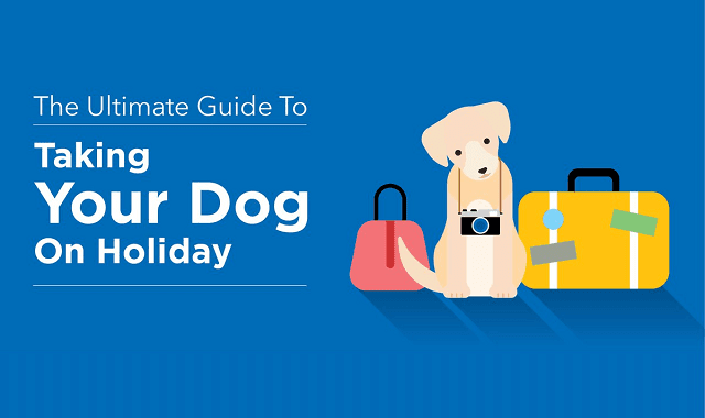 The Ultimate Guide to Taking Your Dog on Holiday