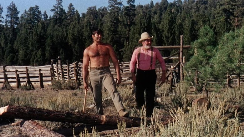 Tierra de alimañas 1966 1080p descargar