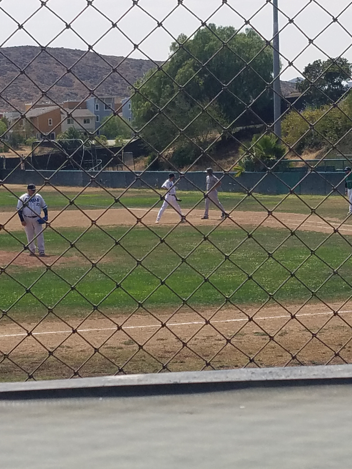 Adult baseball in Slo