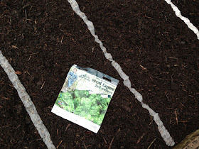 Urban Veg Patch: Sowing seed tapes from Mr Fothergill's range