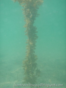 P9060369
