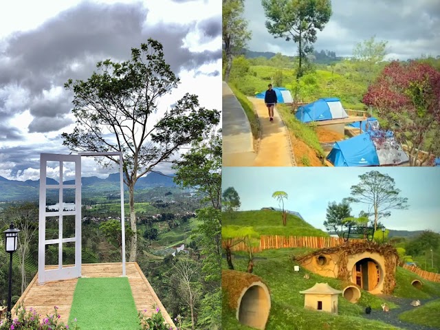 Pallima Hills Tempat Wisata Baru di Pangalengan, Bisa Menikmati Sunrise dan Keindahan Kebun Teh yang Premium