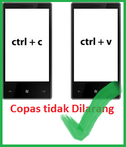  CARA COPAS BLOG DENGAN AMAN DIMATA GOOGLE DMCA