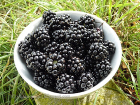 Blackberries